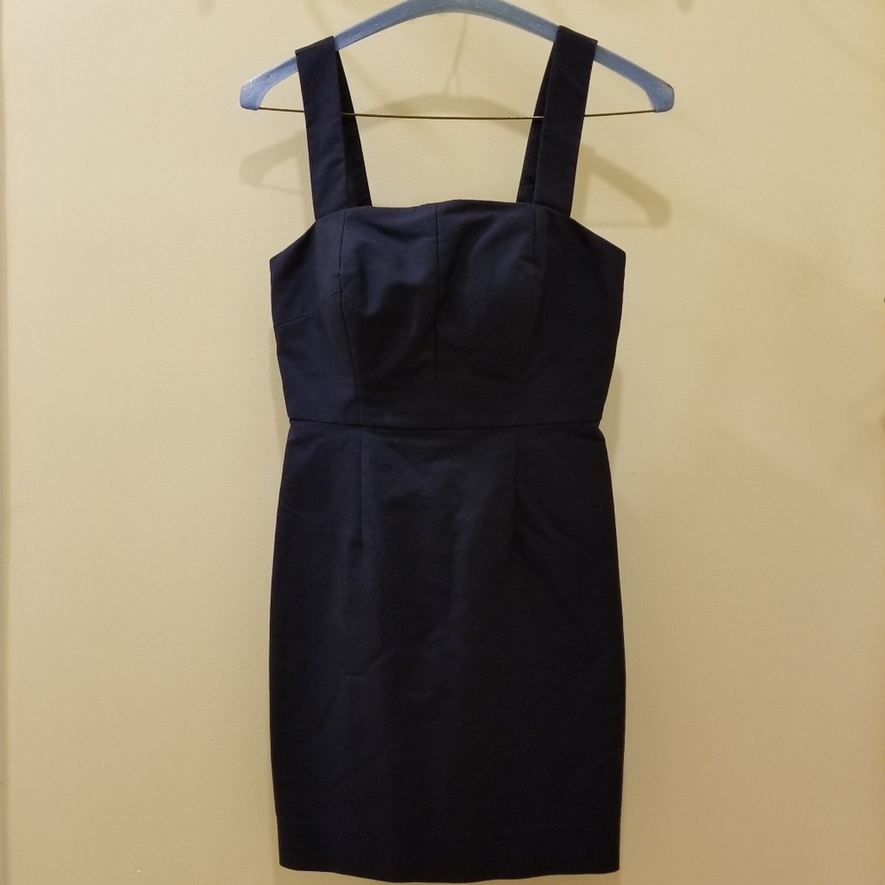 J. Crew Dress